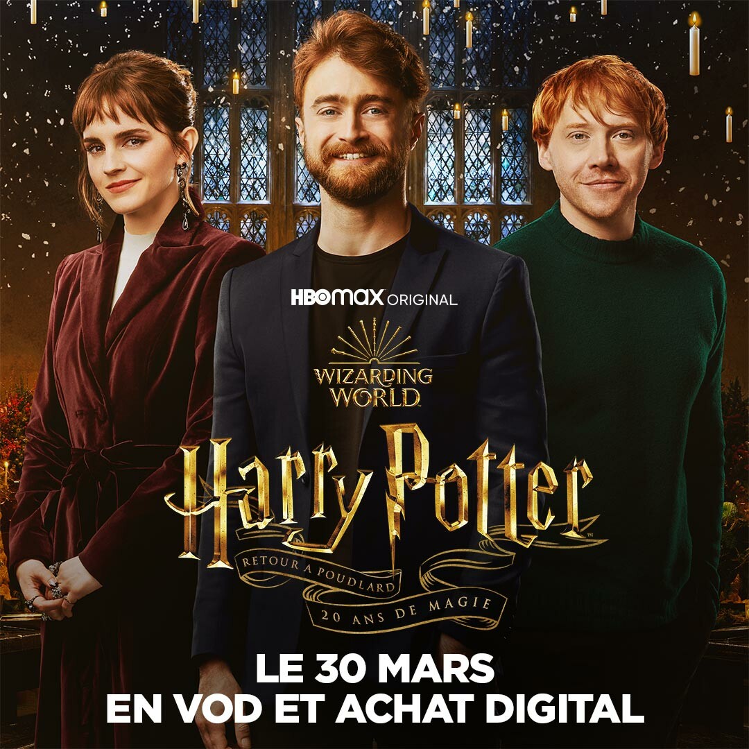 Harry Potter Affiche du film Drapeau de Poudlard (40,6 x 50,8 cm